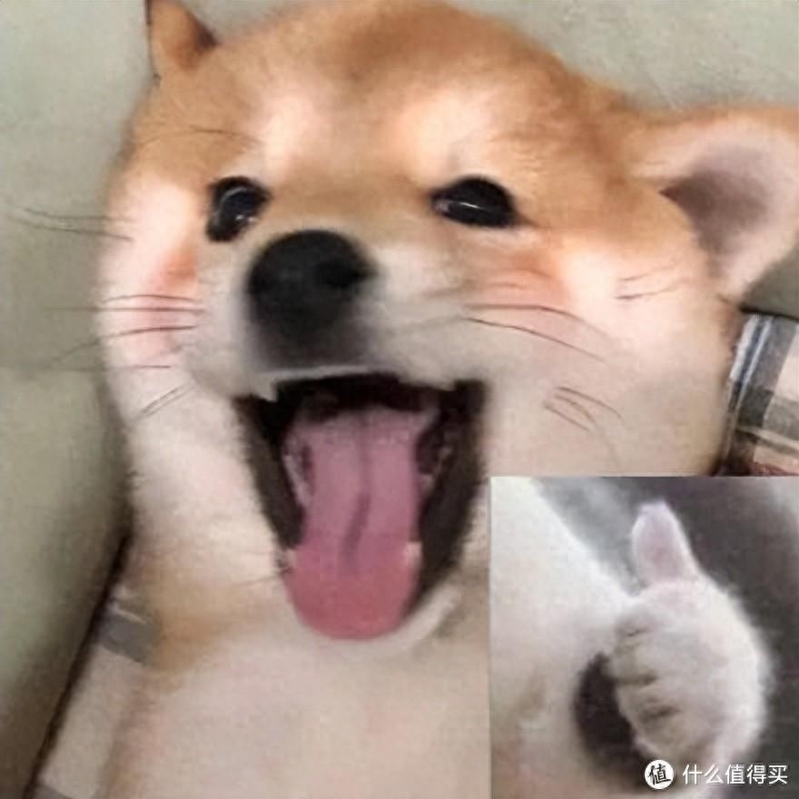魔兽世界正式服新手攻略，装备等级提升指南至0490保姆级教程