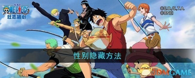 航海王壮志雄心性别隐藏攻略揭秘