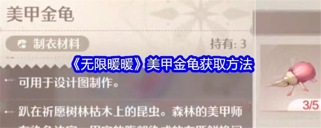 无限暖暖美甲金龟攻略，获取方法全解析